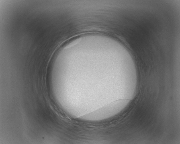 X0000051870579200506241030