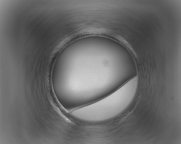 X0000051870581200506241030