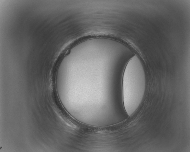 X0000051870584200506241030