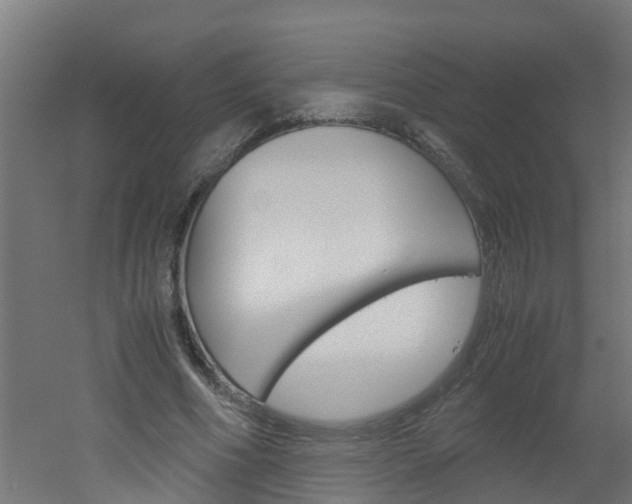 X0000051870586200506241030