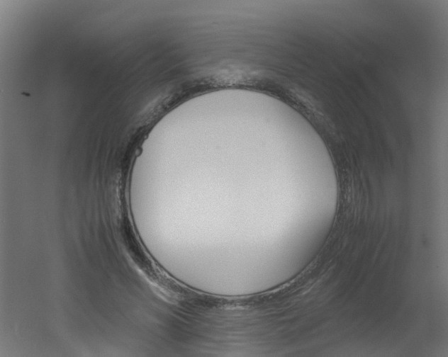 X0000051870590200506241030