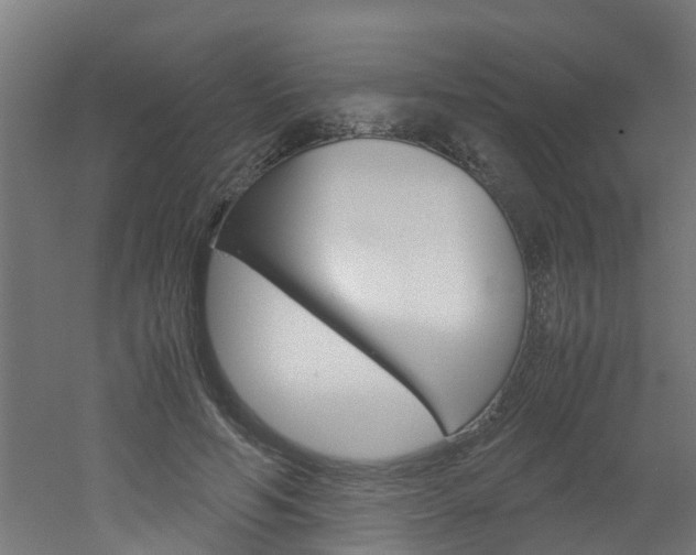 X0000051870594200506241030