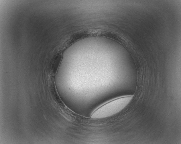 X0000051870601200506241030