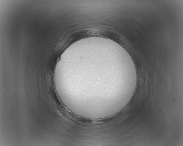 X0000051870603200506241030