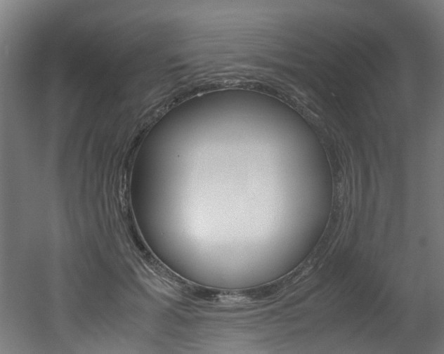 X0000051870605200506241030