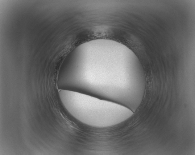 X0000051870606200506241030
