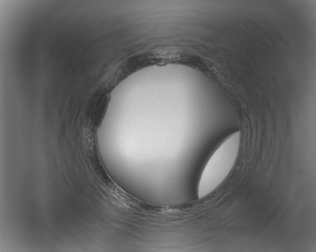 X0000051870609200506241030