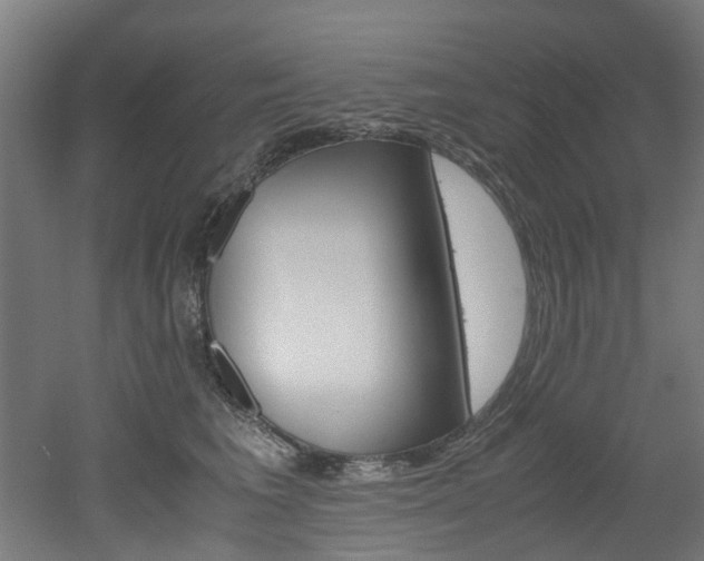 X0000051870613200506241030