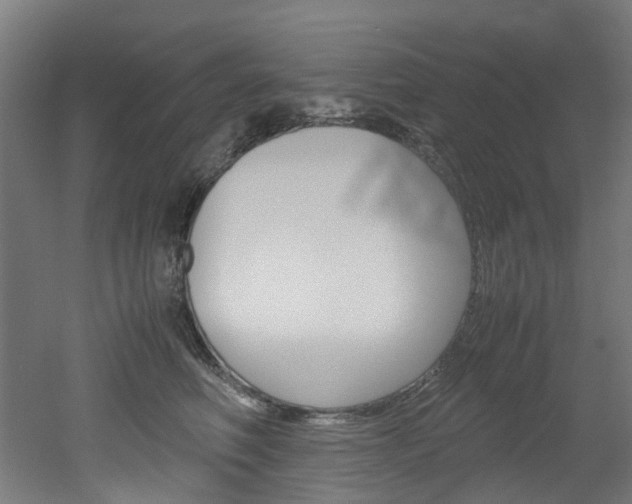 X0000051870614200506241030