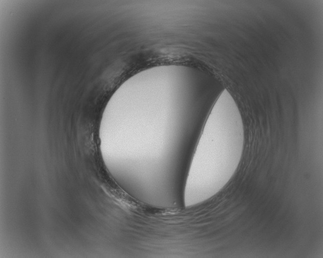 X0000051870615200506241030