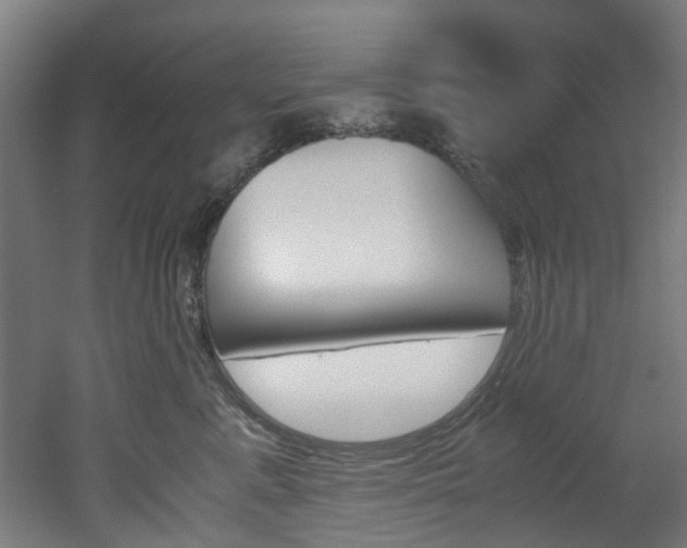 X0000051870619200506241030