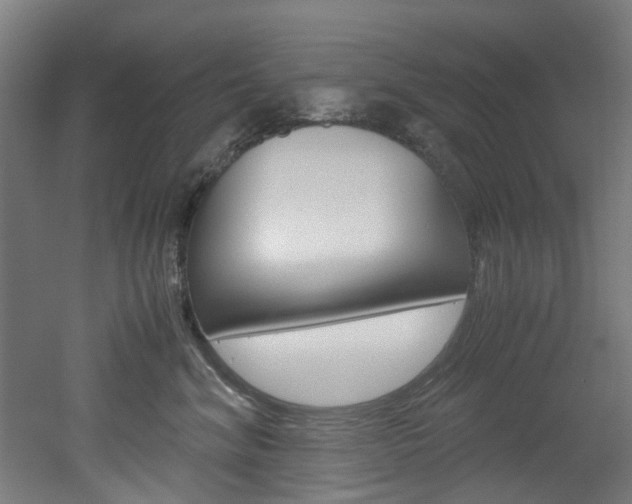 X0000051870620200506241030