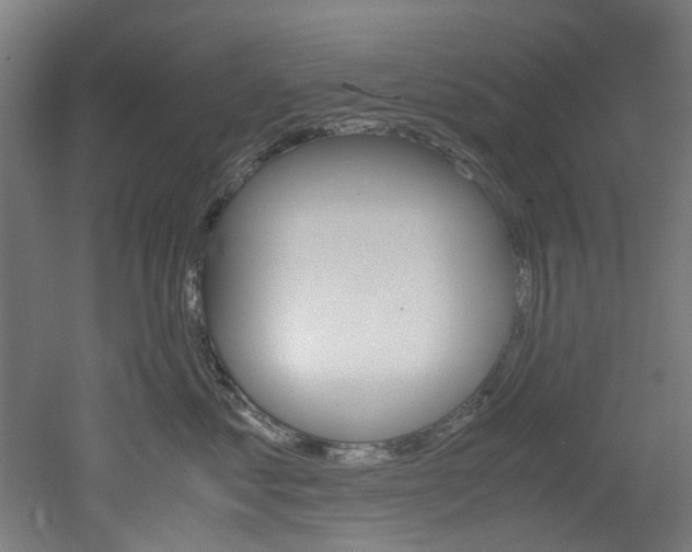 X0000051870621200506241030
