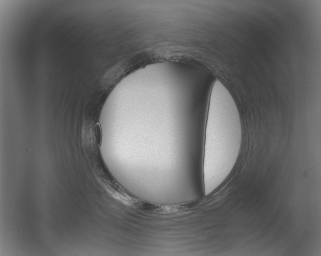 X0000051870623200506241030