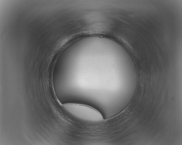 X0000051870631200506241029
