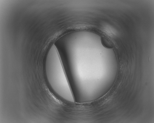 X0000051870633200506241029