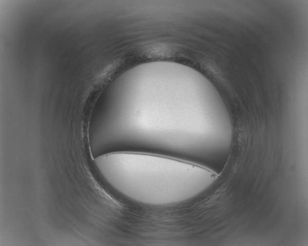 X0000051870637200506241029