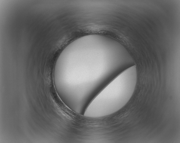 X0000051870642200506241029