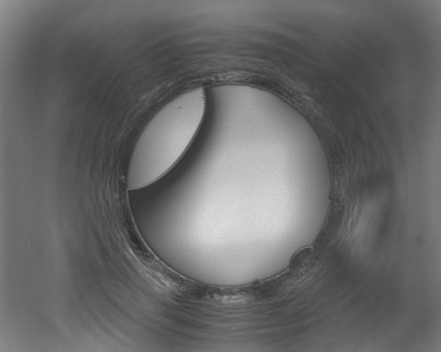 X0000051870645200506241029