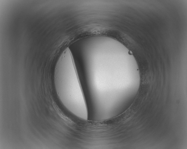 X0000051870646200506241029