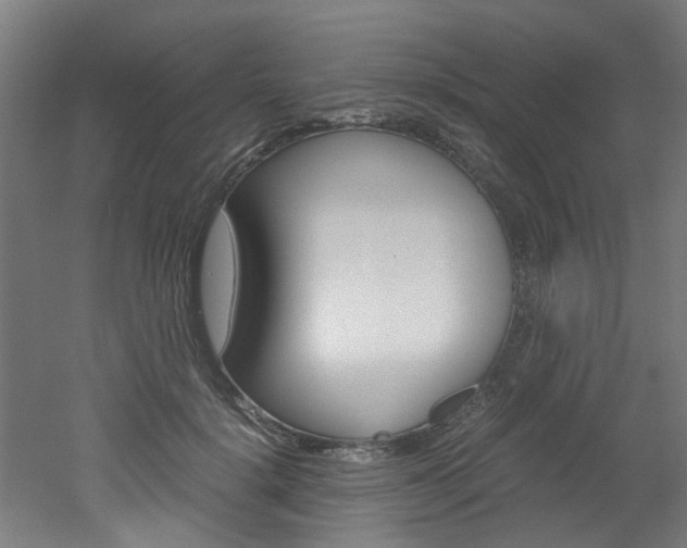 X0000051870652200506241029