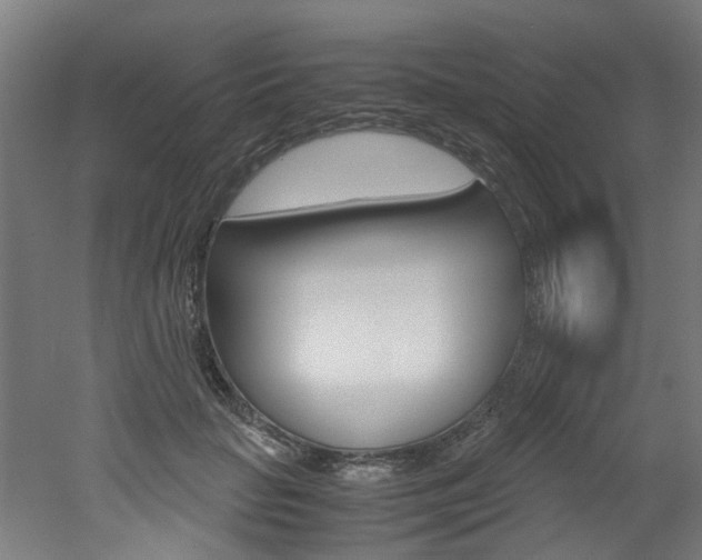 X0000051870653200506241029