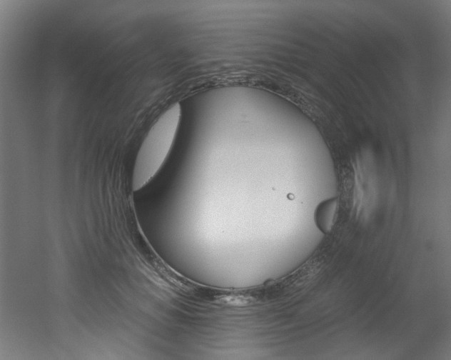 X0000051870654200506241029