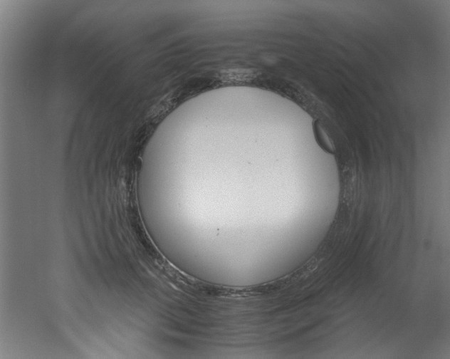 X0000051870655200506241029