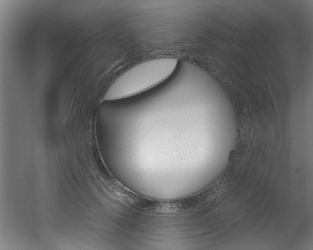 X0000051870656200506241029
