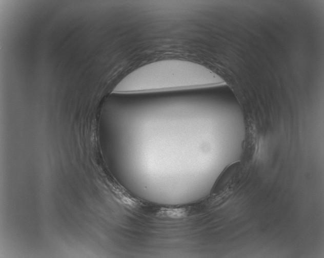 X0000051870665200506241030