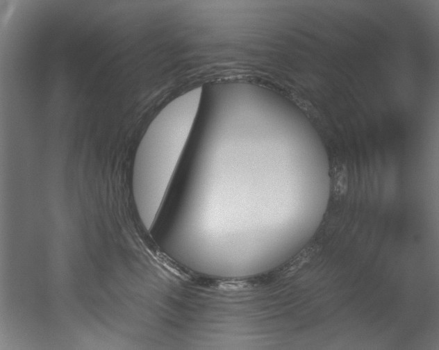 X0000051870666200506241030