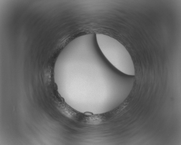 X0000051870668200506241030