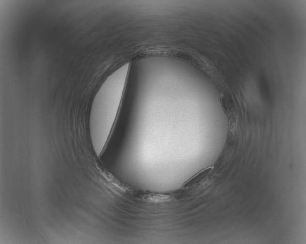 X0000051870669200506241030