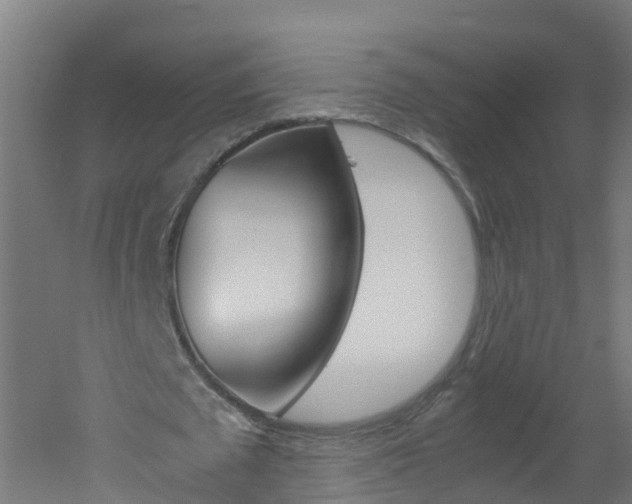 X0000051870673200506241029