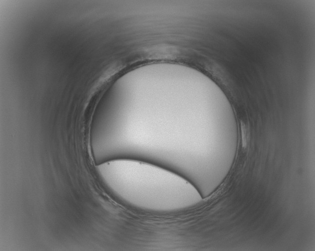 X0000051870675200506241029