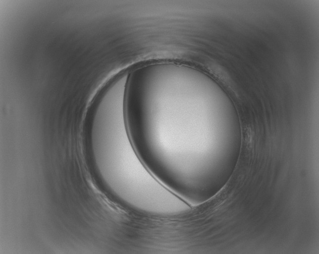 X0000051870676200506241029