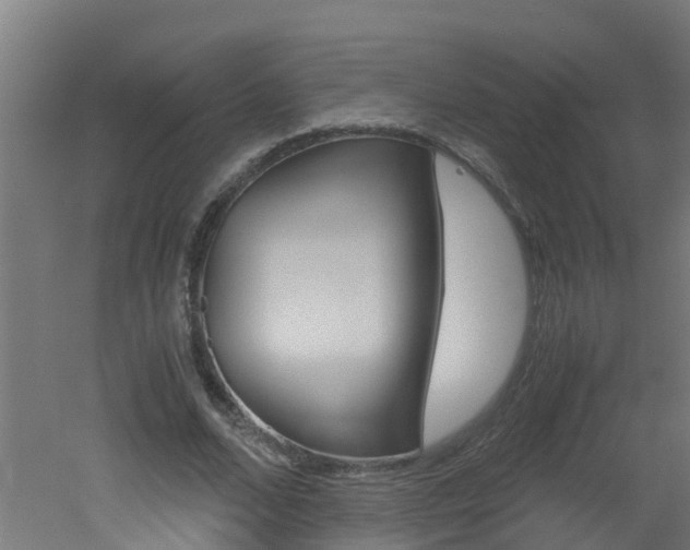 X0000051870680200506241029