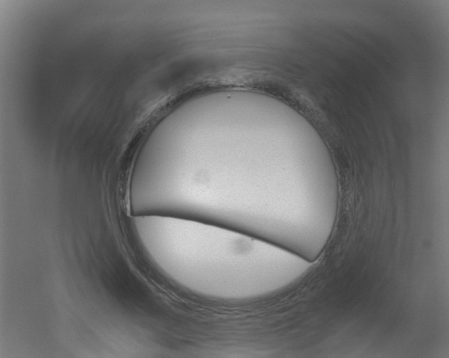 X0000051870683200506241029