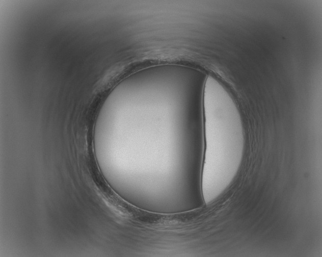 X0000051870685200506241029