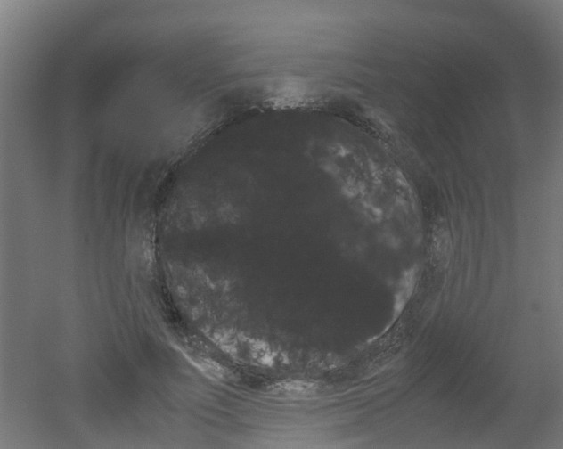 X0000051870691200506241029