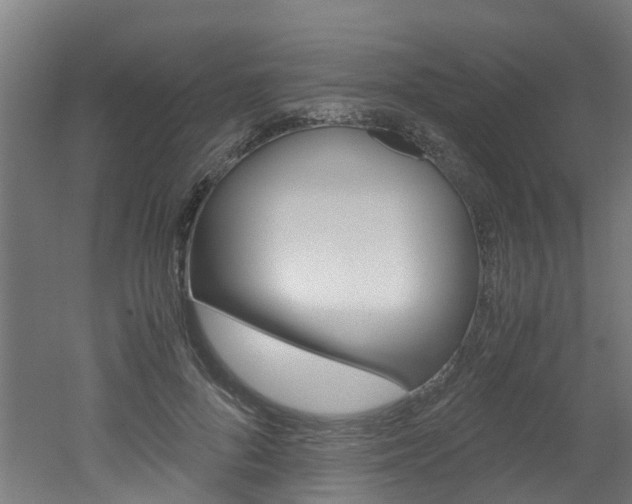 X0000051870696200506241028