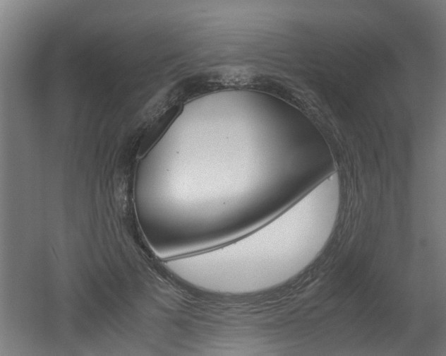 X0000051870697200506241028