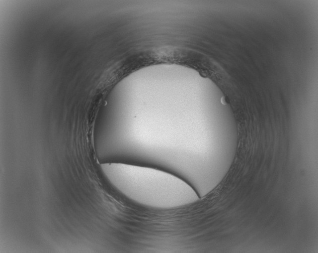 X0000051870702200506241028