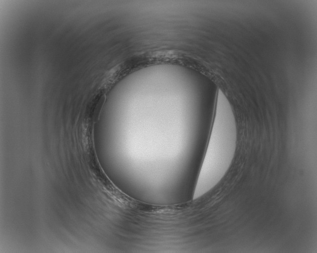 X0000051870708200506241028