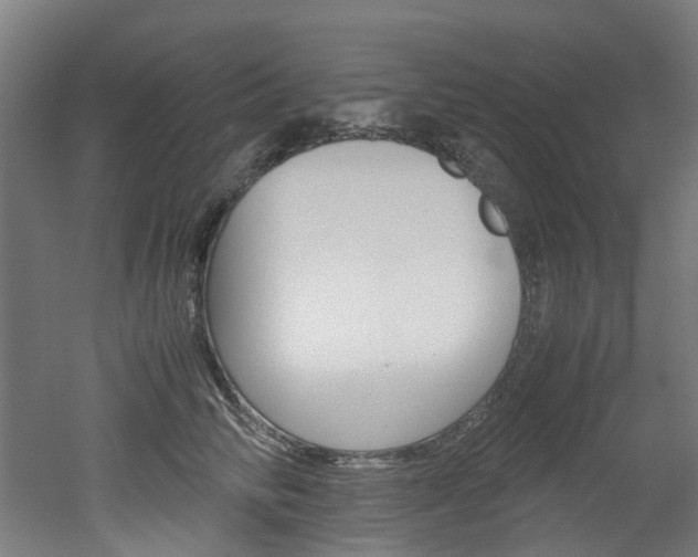 X0000051870710200506241028