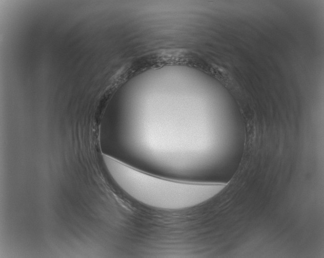 X0000051870712200506241028