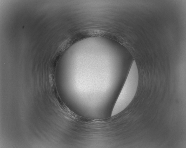 X0000051870716200506241028