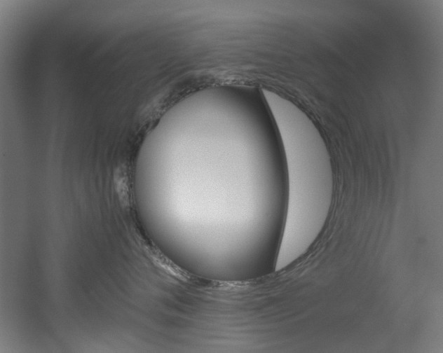 X0000051870720200506241028
