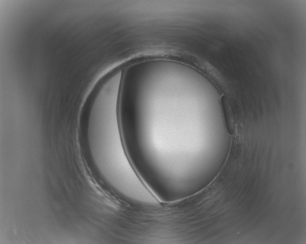 X0000051870724200506241027