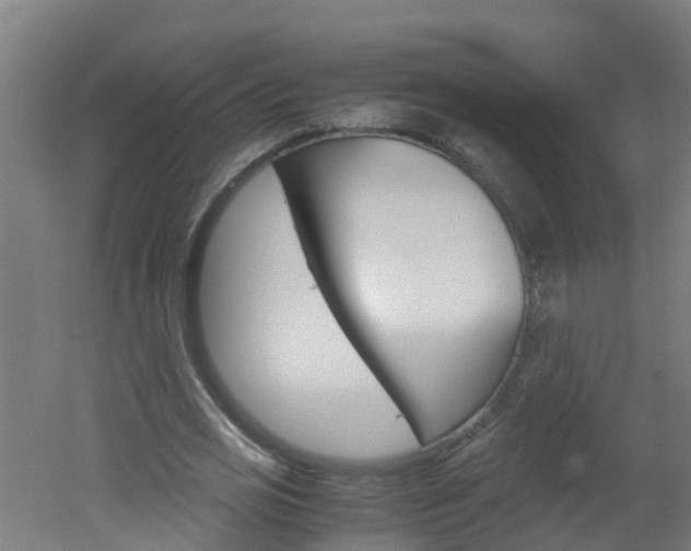 X0000051870725200506241027